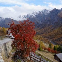 Automne à Saint Véran