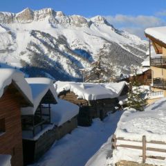 Gentiane vue de la fenêtre