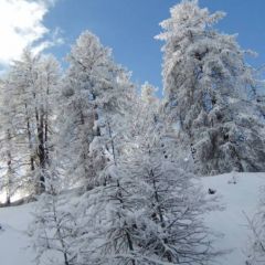 Hiver à Saint Véran