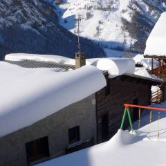 Les Soldanelles le jardin en hiver