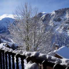 Campanule vue du balcon